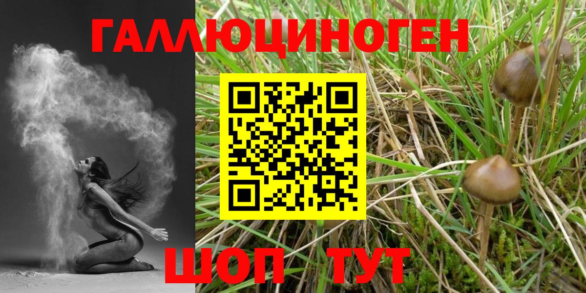 Псилоцибиновые грибы мухоморы Сорочинск