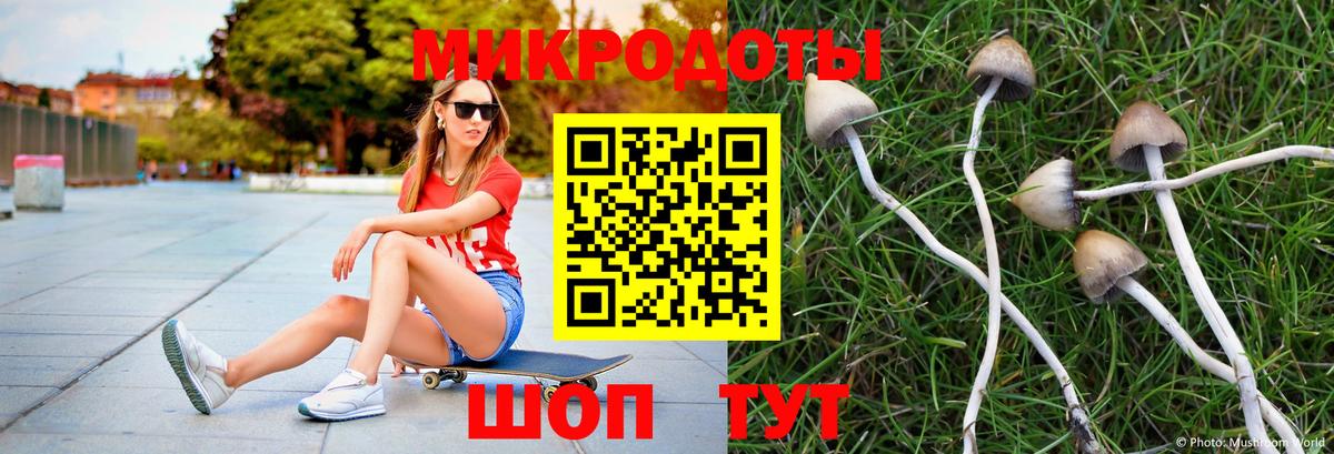 Псилоцибиновые грибы MAGIC MUSHROOMS  Вход с VPN  Псилоцибиновые грибы Psilocybine cubensis  Сорочинск 